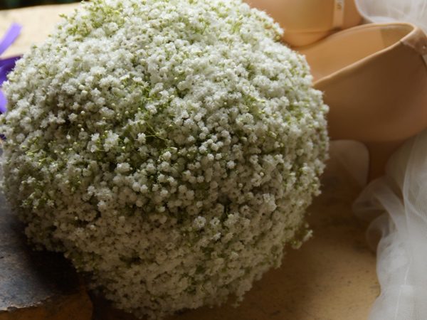 Traumhochzeit