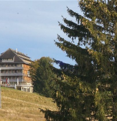 Warum in die Ferne schweifen: Eine Reise ins Hotel „Die Halde“ im Schwarzwald