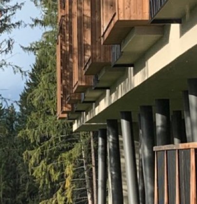 Reise: Das Baumhotel in Südtirol